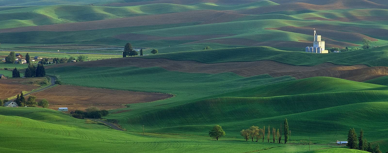 기프티안 메인 비주얼 4