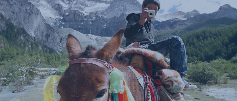 정성된 선물 기록 — 보내는 마음