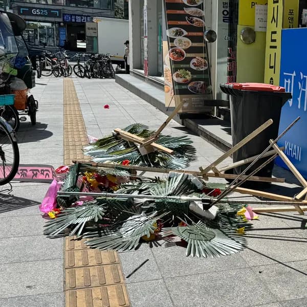 갤러리 이미지 5